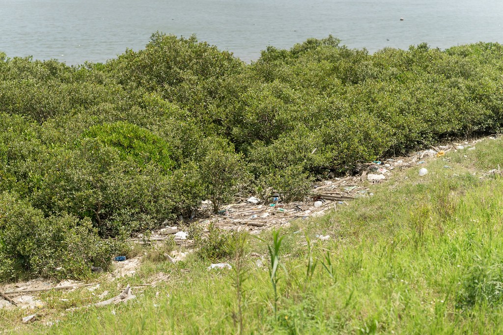 [活動攝影]2024犀牛盾新竹淨灘活動-最專業的團隊完成每場完美活動攝影，拍的不只好更要快! #活動攝影