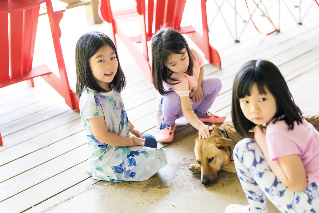 [活動攝影]2024蒙特梭利新生園露營活動-最專業的團隊完成每場完美活動攝影，拍的不只好更要快! #尾牙攝影