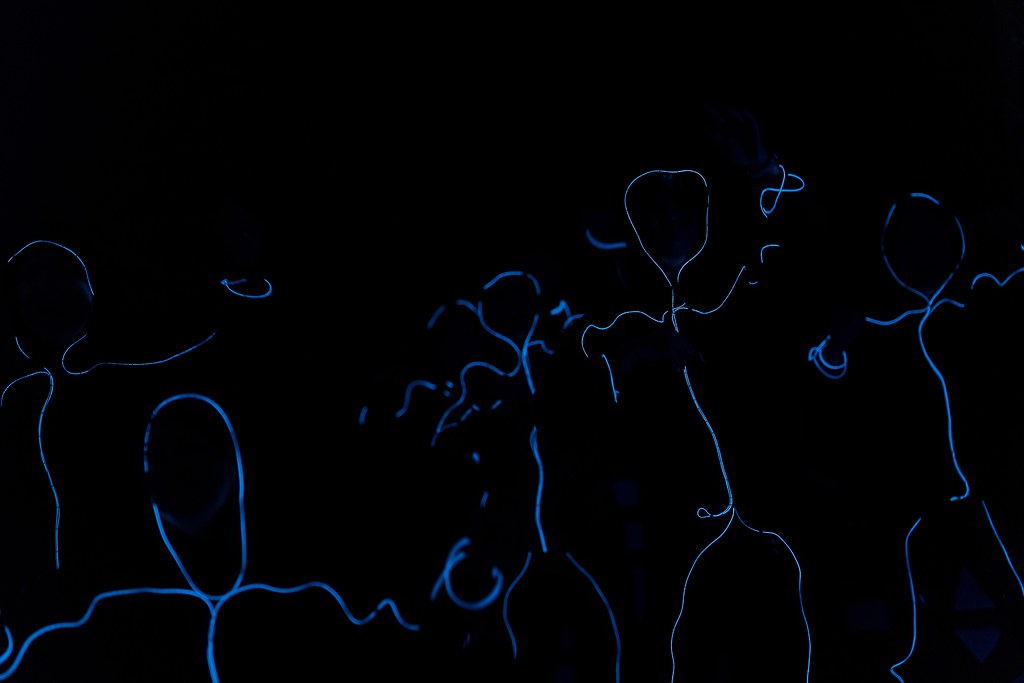 [活動攝影]2024大晟開發機構尾牙-最專業的團隊完成每場完美活動攝影，拍的不只好更要快! #尾牙攝影